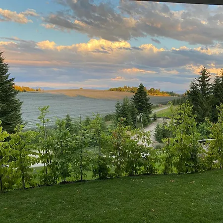 Kaapi Friedrichshafen