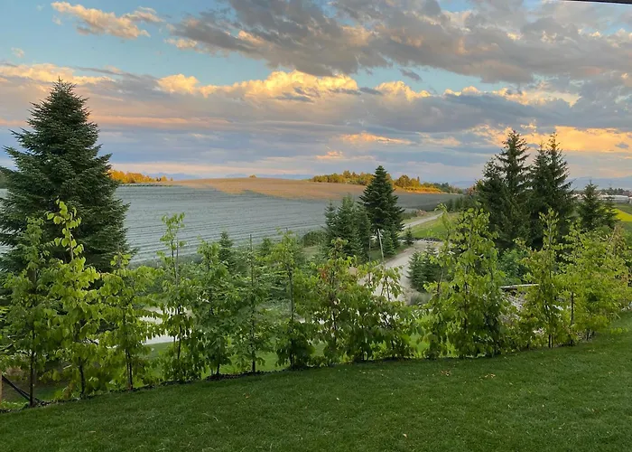 Kaapi Friedrichshafen