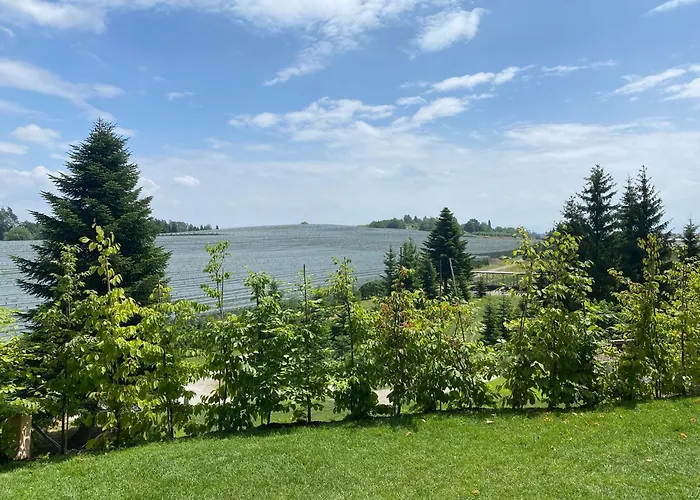 Kaapi פרידריכסהאפן