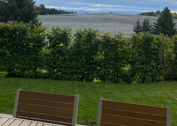 Kaapi פרידריכסהאפן